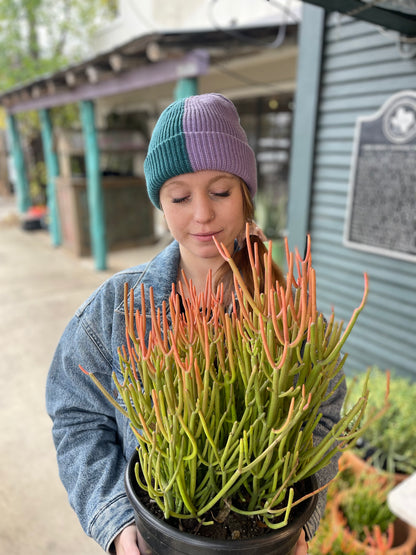 Vertical Split Beanie